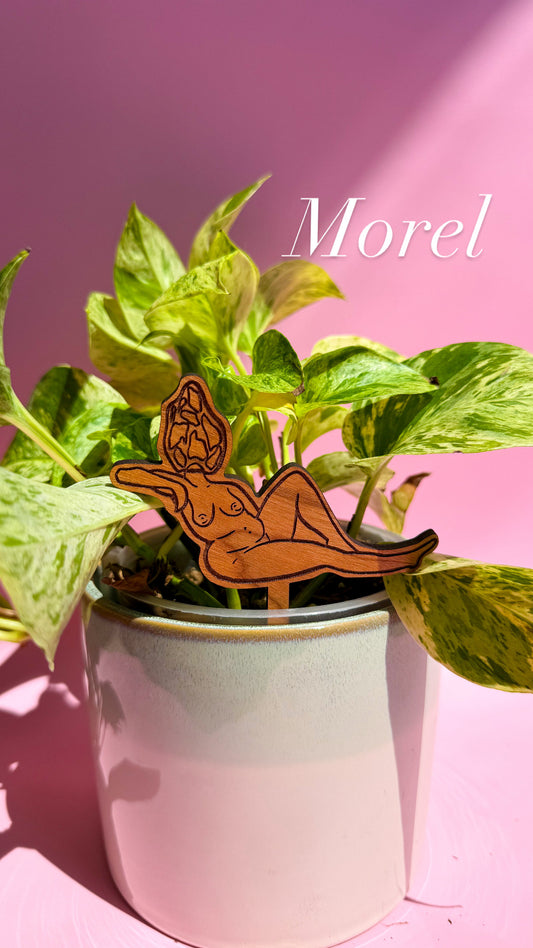 Mushlady Mini Plant Stakes