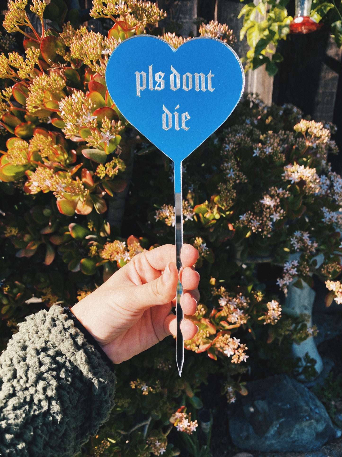 Pun Plant Stake “pls dont die”