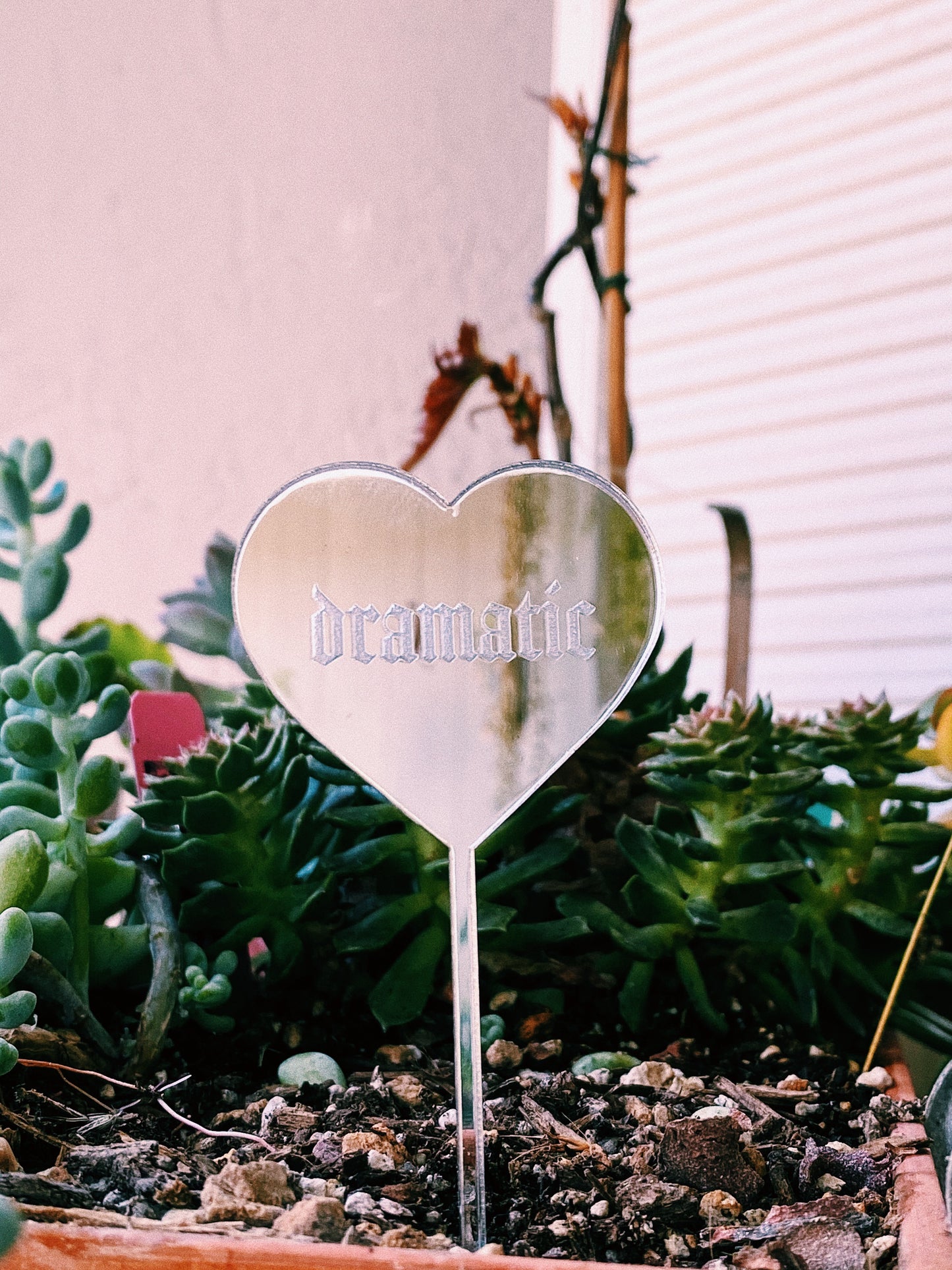 “dramatic” Plant Pun Plant Stake