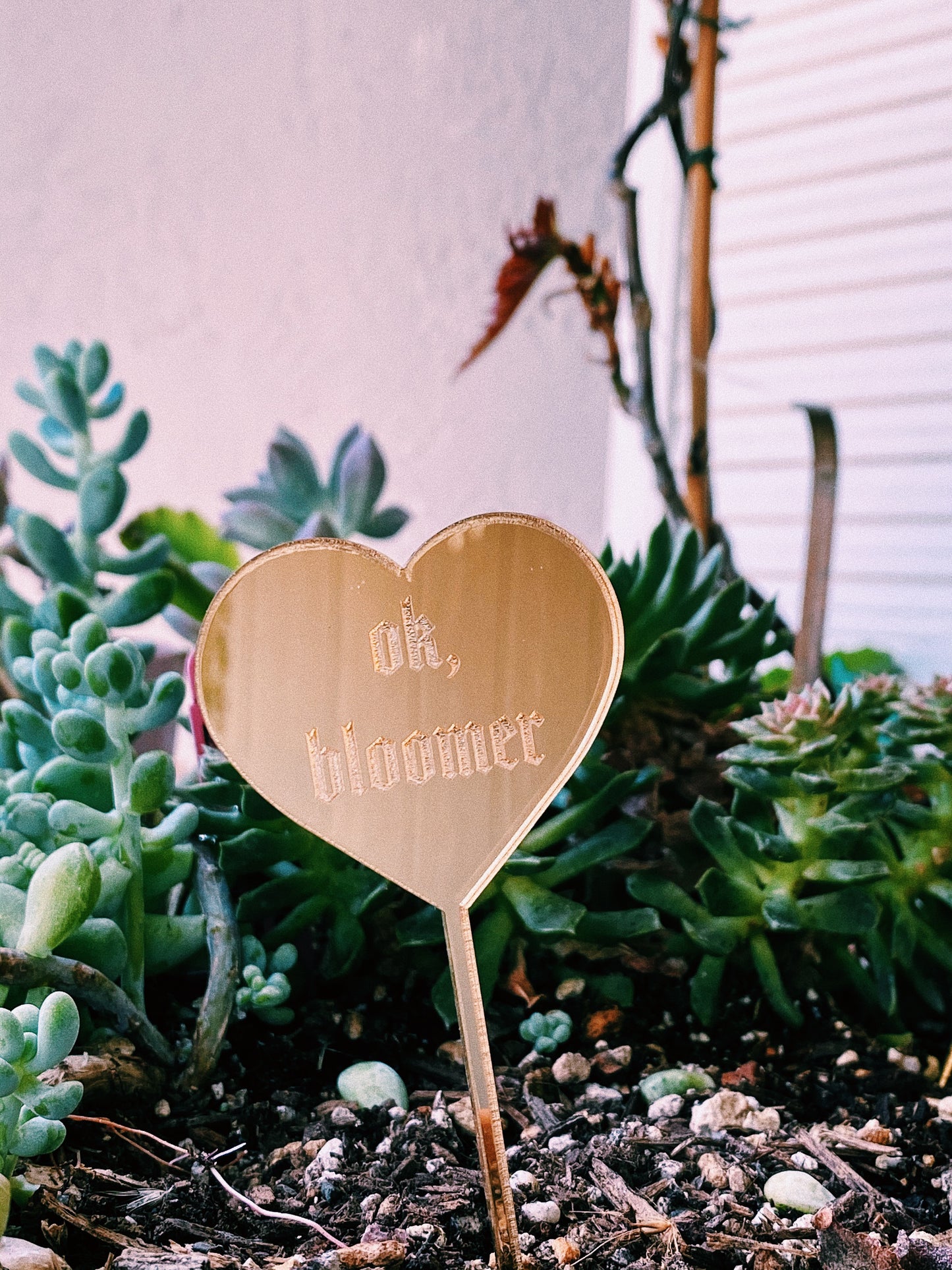 “ok, bloomer” Plant Pun Plant Stake