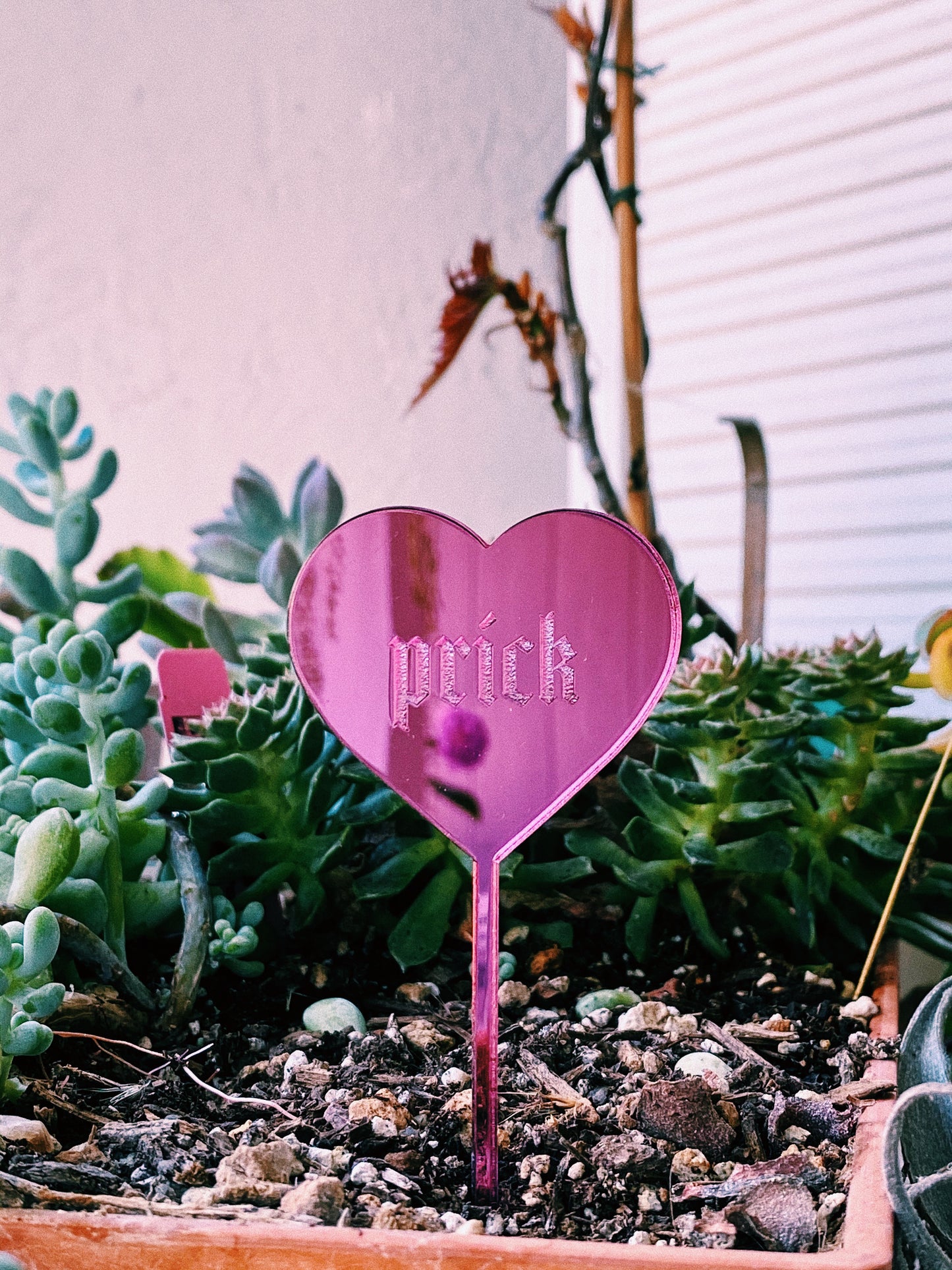 “prick” Plant Pun Plant Stake