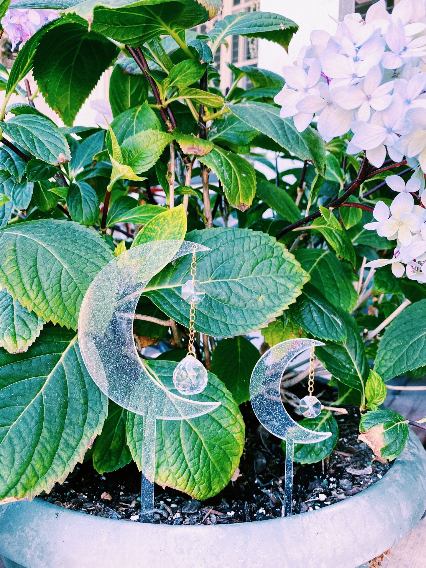 Sun Catching Moon Plant Stakes