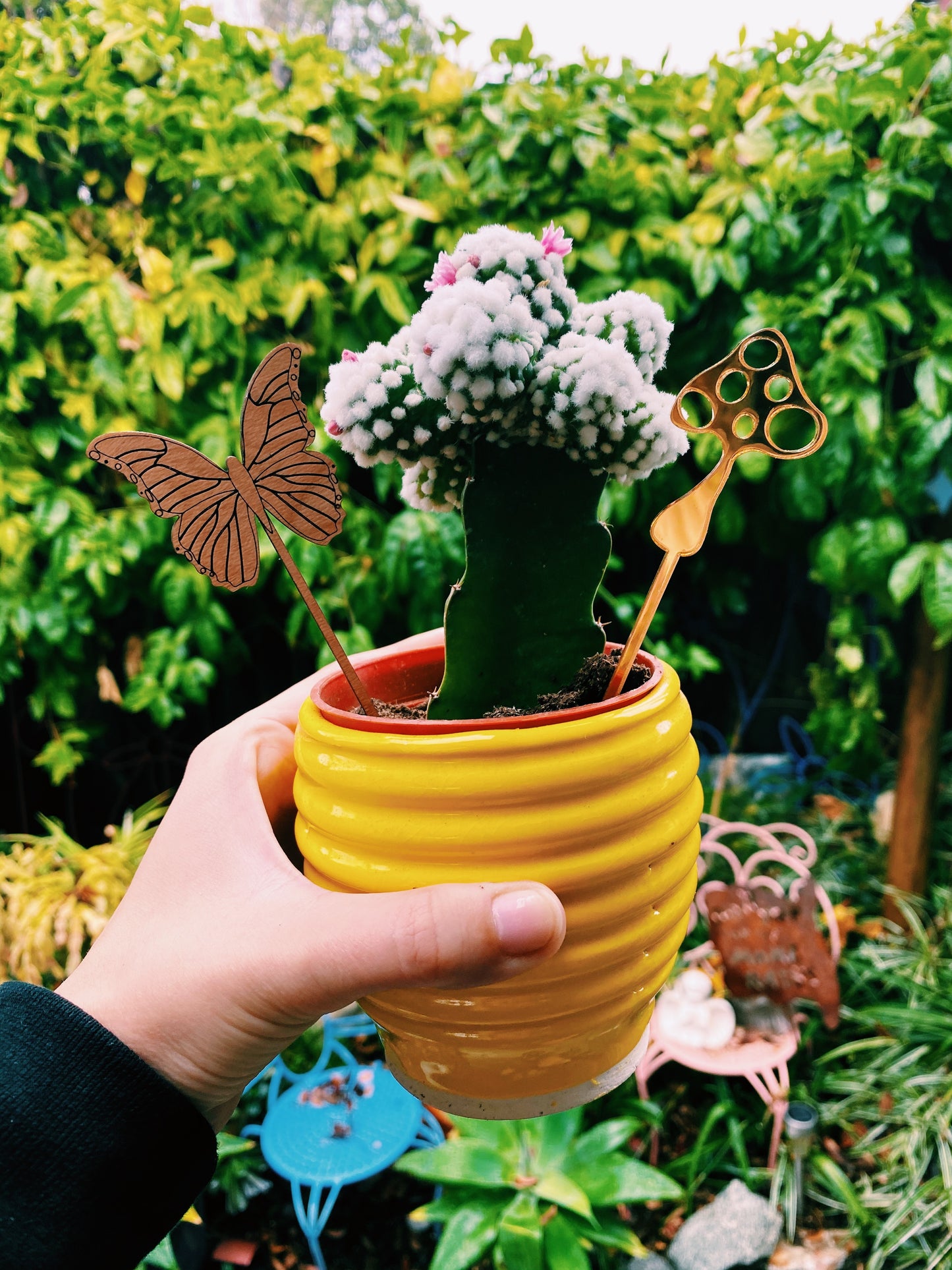 Mini Mushroom Plant Stake