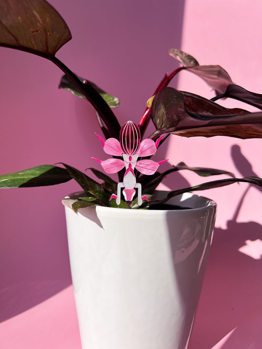 Orchid Mantis Plant Stake