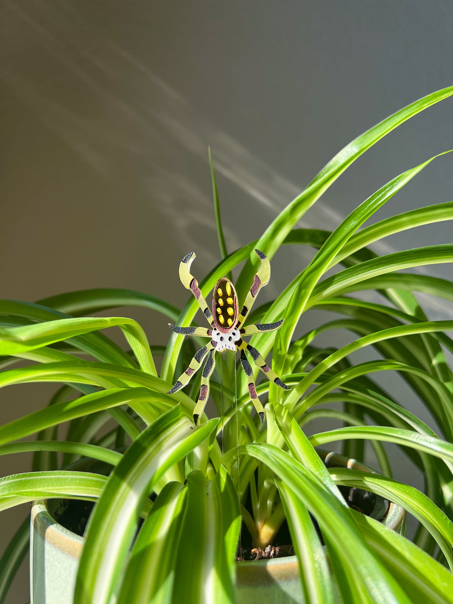 Banana Spider Plant Stake