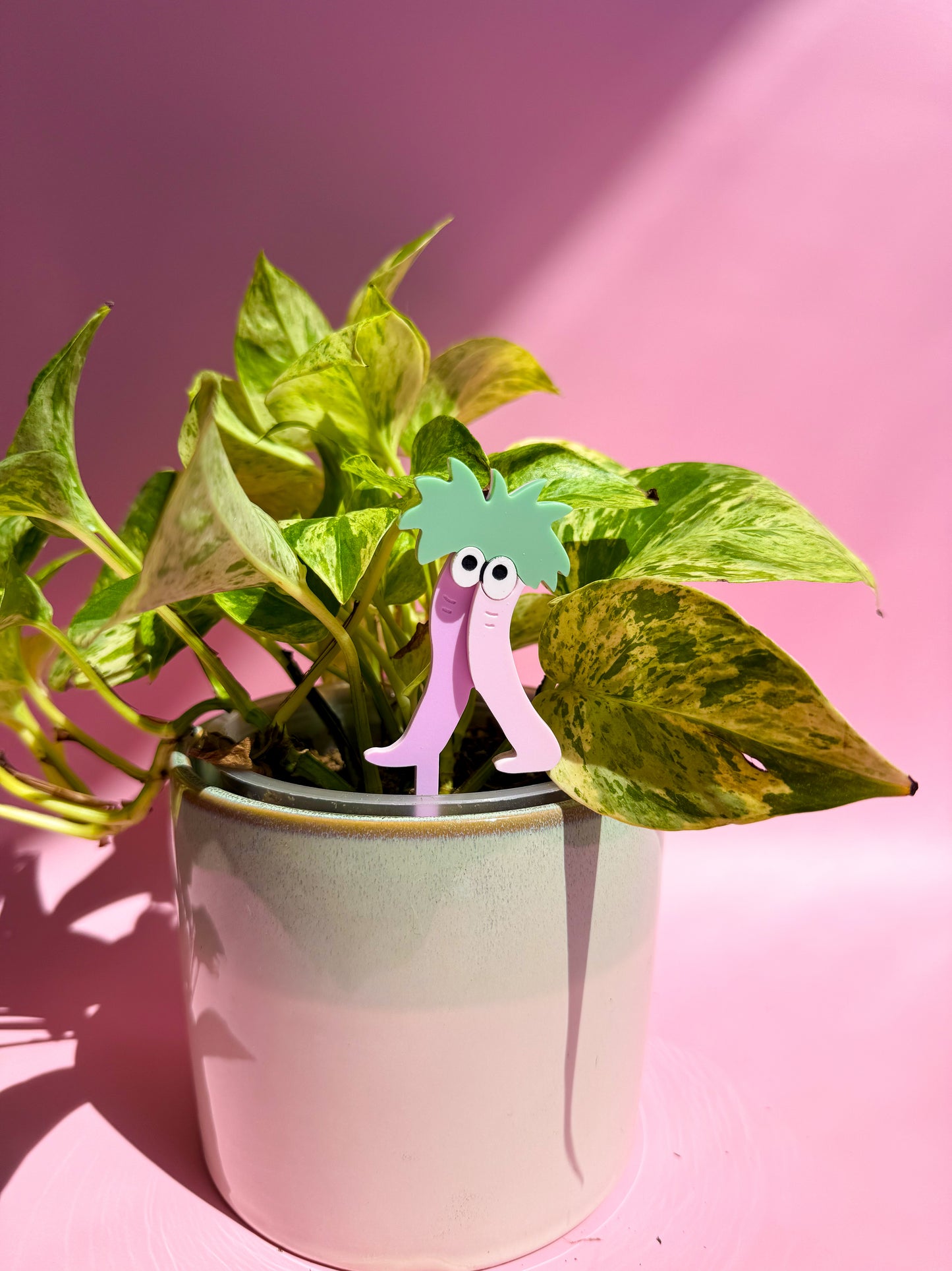 Mome Rath Plant Stakes (SINGLES + PACK)