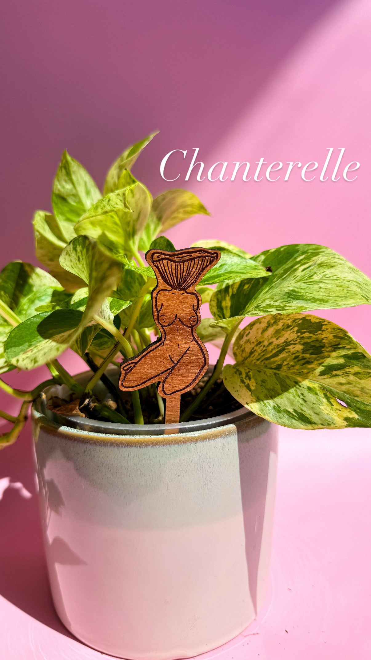 Mushlady Mini Plant Stakes