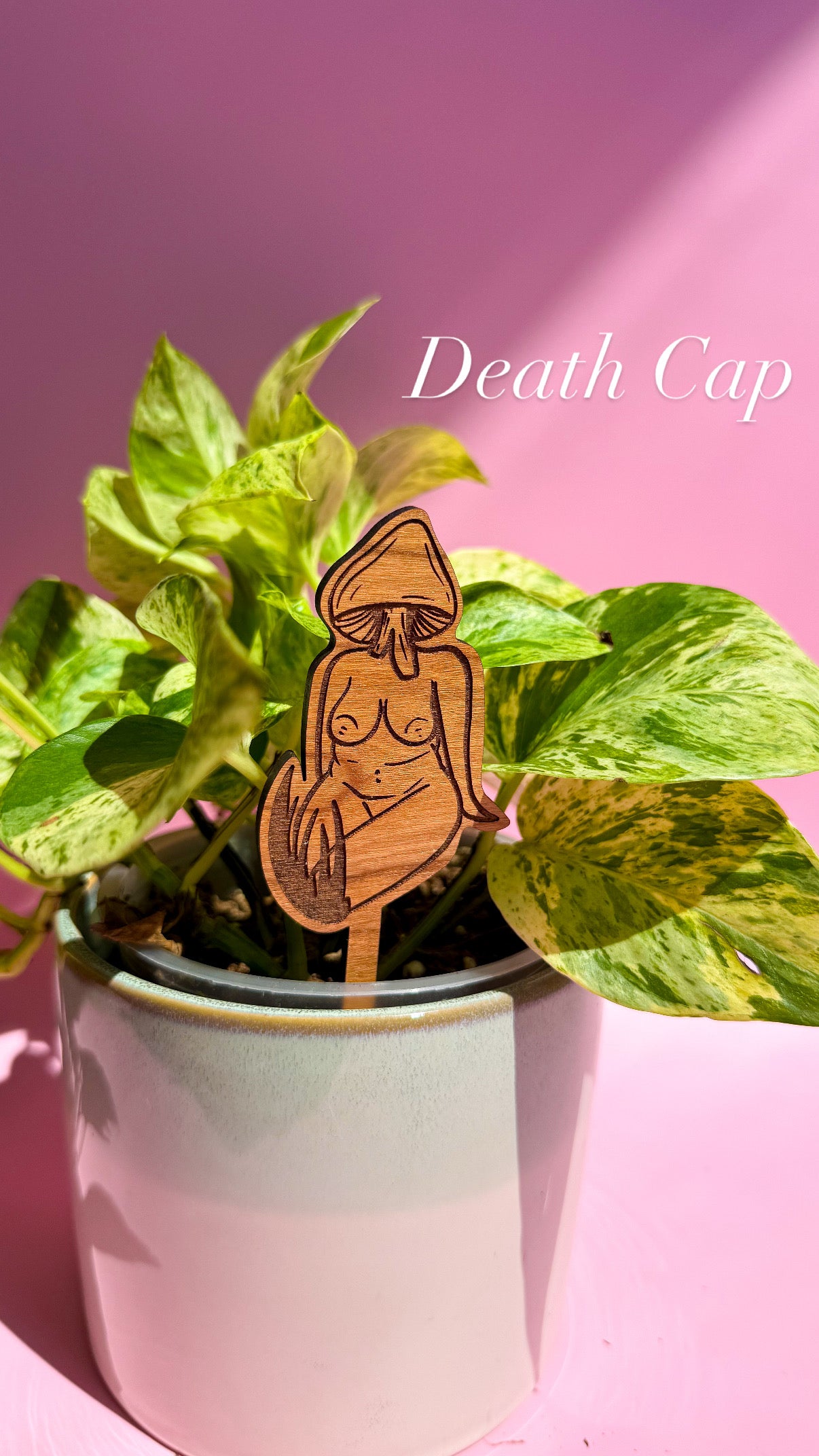 Mushlady Mini Plant Stakes