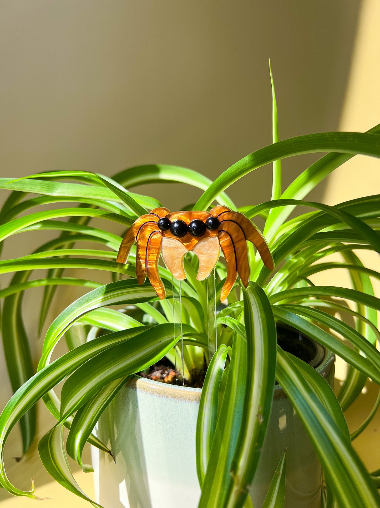 Jumping Spider Plant Stake