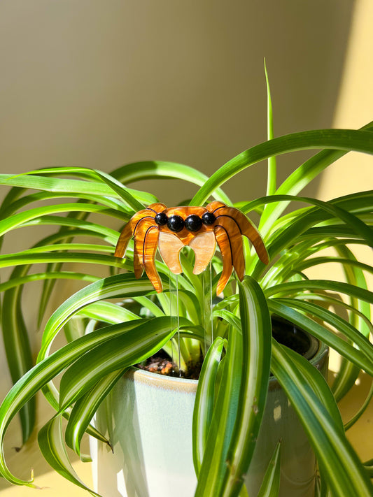 Jumping Spider Plant Stake