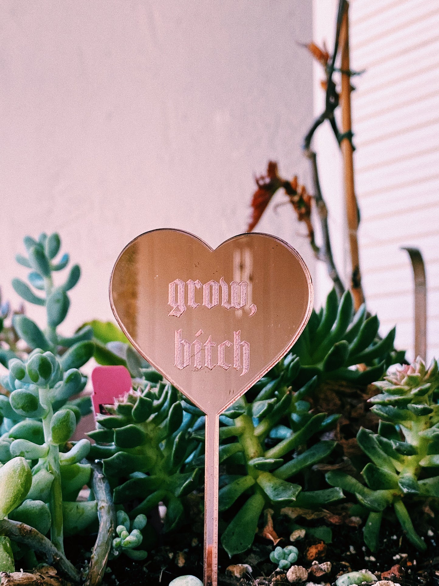 “grow, bitch” Plant Pun Plant Stake